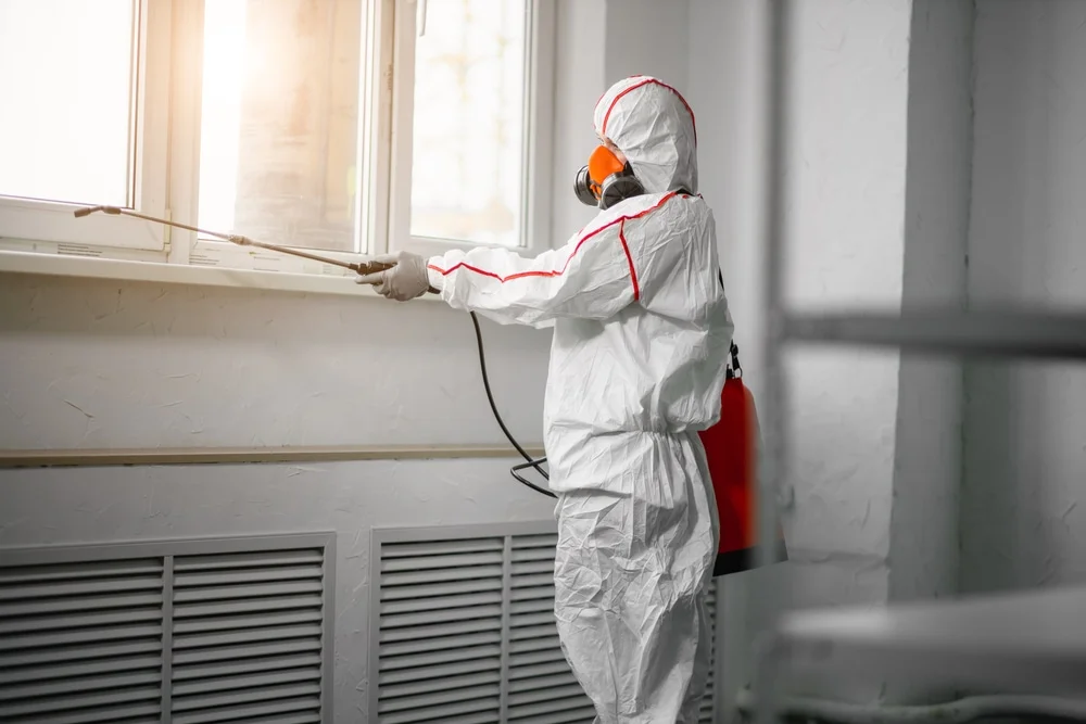 Professional mold remediation services in Syracuse, UT